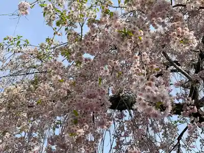 葛葉稲荷神社の自然