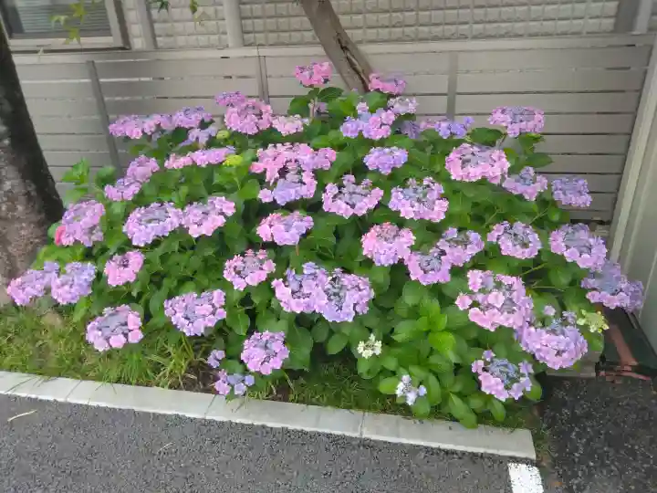 無量寺(神奈川県)