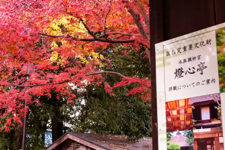 水無瀬神宮(大阪府)