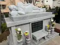 養国寺の{uncategorized: "未分類", other: "その他", undefined: "問題あり", building: "その他建物", grave: "お墓", sacred_gate: "鳥居", guardian: "狛犬", statue: "像", buddha: "仏像", history: "歴史", nature: "自然", garden: "庭園", animal: "動物", pagoda: "塔", temizu: "手水舎", mountain_gate: "山門・神門", sanctuary: "本殿・本堂", subordinate: "末社・摂社", art: "芸術", scenery: "景色", jizo: "地蔵", ema: "絵馬", goshuin: "御朱印", omikuji: "おみくじ", items: "授与品その他", amulet: "お守り", goshuincho: "御朱印帳", eats: "食事", festival: "お祭り", votive_dance: "神楽", shichigosan: "七五三参", wedding: "結婚式", experience: "体験その他", initially: "初詣", around: "周辺", anti_infection: "感染症対策"}