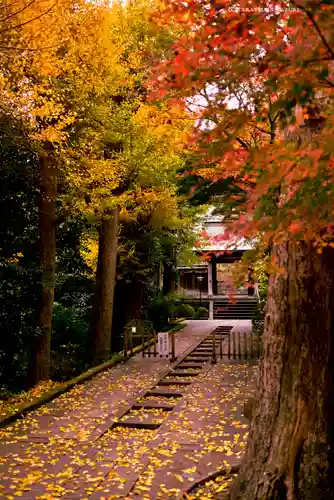 円覚寺(神奈川県)