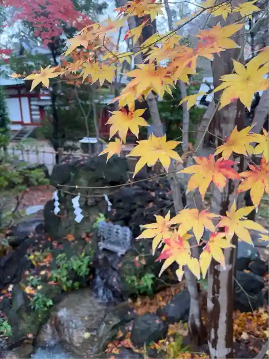 大國魂神社(東京都)