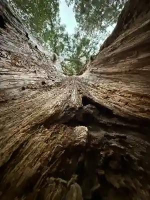 丹生神社(丹生川上神社中社摂社)の{uncategorized: "未分類", other: "その他", undefined: "問題あり", building: "その他建物", grave: "お墓", sacred_gate: "鳥居", guardian: "狛犬", statue: "像", buddha: "仏像", history: "歴史", nature: "自然", garden: "庭園", animal: "動物", pagoda: "塔", temizu: "手水舎", mountain_gate: "山門・神門", sanctuary: "本殿・本堂", subordinate: "末社・摂社", art: "芸術", scenery: "景色", jizo: "地蔵", ema: "絵馬", goshuin: "御朱印", omikuji: "おみくじ", items: "授与品その他", amulet: "お守り", goshuincho: "御朱印帳", eats: "食事", festival: "お祭り", votive_dance: "神楽", shichigosan: "七五三参", wedding: "結婚式", experience: "体験その他", initially: "初詣", around: "周辺", anti_infection: "感染症対策"}