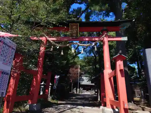 西堀 氷川神社の鳥居