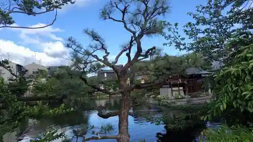 神泉苑(京都府)