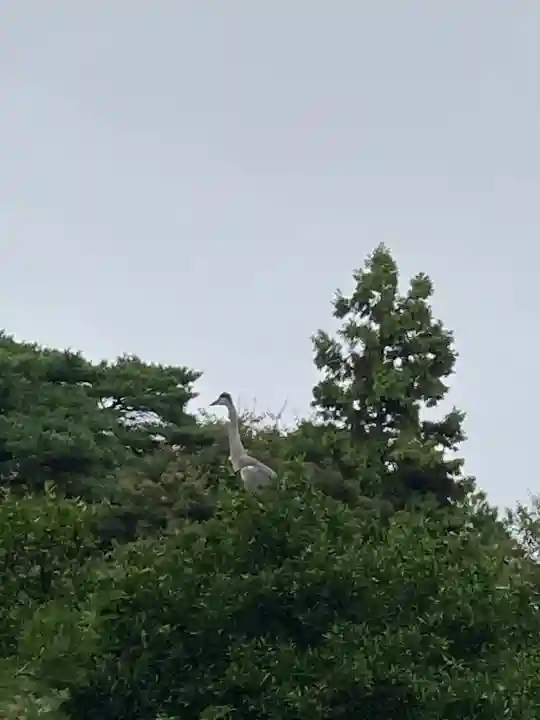進雄神社(群馬県)