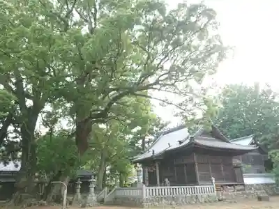 八幡社（赤坂町）の本殿・本堂
