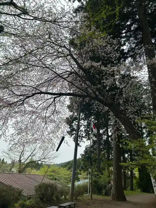 坪沼八幡神社の自然