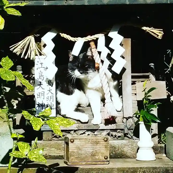 柳森神社の動物