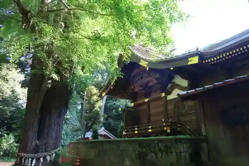 玉敷神社の本殿