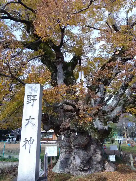 八幡神社(滋賀県)