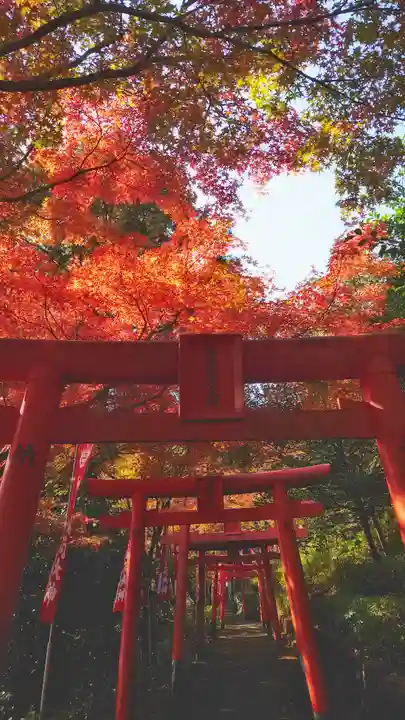 岐阜稲荷山本社の鳥居