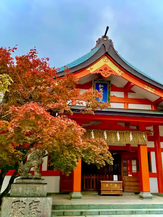 紅葉八幡宮の本殿・本堂