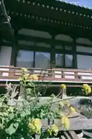 養源寺の自然