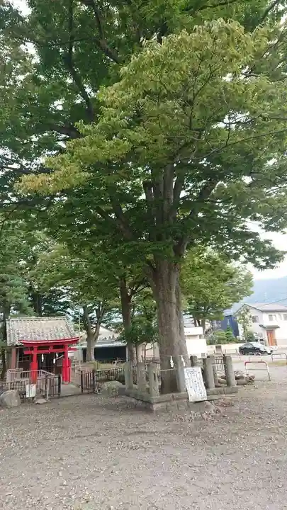 祝神社の自然