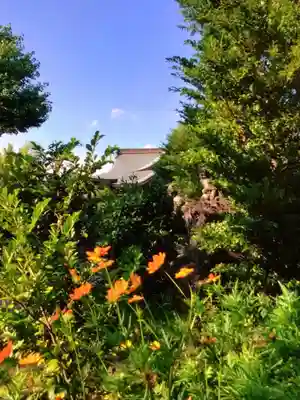 鷺宮八幡神社(東京都)