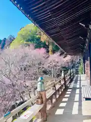 播州清水寺(兵庫県)