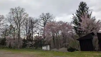 雨紛神社の自然