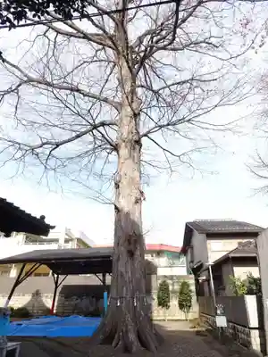 宮城野八幡神社(宮城県)