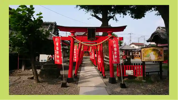 於菊稲荷神社(群馬県)