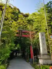 來宮神社(静岡県)