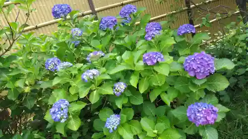 行願寺（革堂）(京都府)