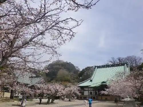 光明寺のその他建物