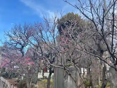 亀戸天神社(東京都)