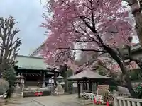 五條天神社(東京都)