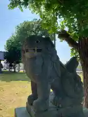 幌向神社の狛犬