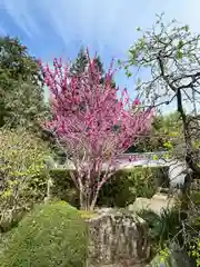 石光寺(奈良県)