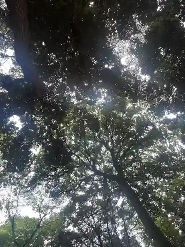 峯ヶ岡八幡神社(埼玉県)