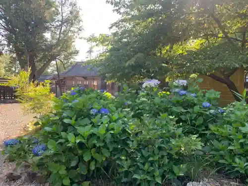 天宮神社の自然