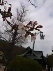 賀羅加波神社の自然