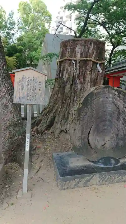 生田神社の自然