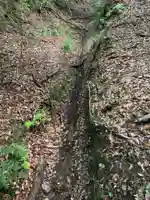 琴平神社(千葉県)