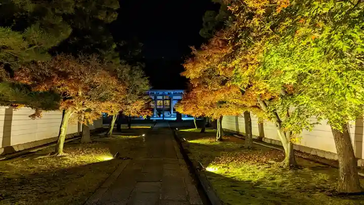 妙顯寺(妙顕寺)(京都府)