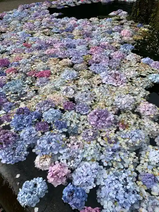 久安寺(大阪府)