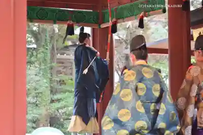 鶴岡八幡宮(神奈川県)