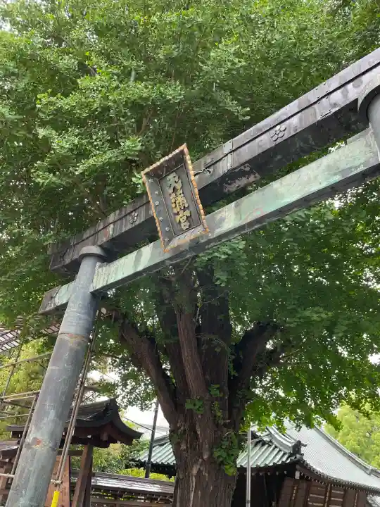 湯島天満宮(東京都)