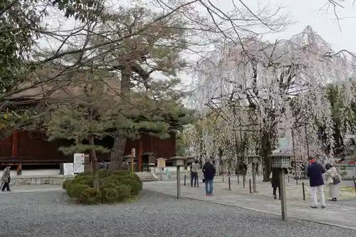 大報恩寺（千本釈迦堂）(京都府)