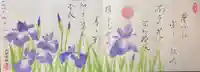 花菖蒲