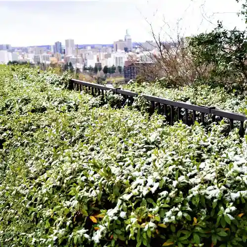 宮城縣護國神社の自然