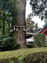 香取神宮(千葉県)