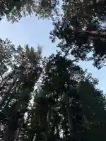 高野山金剛峯寺奥の院(和歌山県)