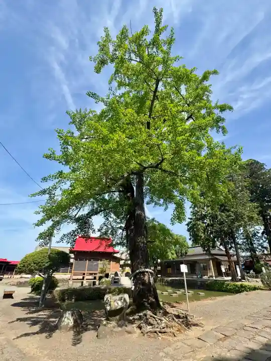 熊野神社の{uncategorized: "未分類", other: "その他", undefined: "問題あり", building: "その他建物", grave: "お墓", sacred_gate: "鳥居", guardian: "狛犬", statue: "像", buddha: "仏像", history: "歴史", nature: "自然", garden: "庭園", animal: "動物", pagoda: "塔", temizu: "手水舎", mountain_gate: "山門・神門", sanctuary: "本殿・本堂", subordinate: "末社・摂社", art: "芸術", scenery: "景色", jizo: "地蔵", ema: "絵馬", goshuin: "御朱印", omikuji: "おみくじ", items: "授与品その他", amulet: "お守り", goshuincho: "御朱印帳", eats: "食事", festival: "お祭り", votive_dance: "神楽", shichigosan: "七五三参", wedding: "結婚式", experience: "体験その他", initially: "初詣", around: "周辺", anti_infection: "感染症対策"}