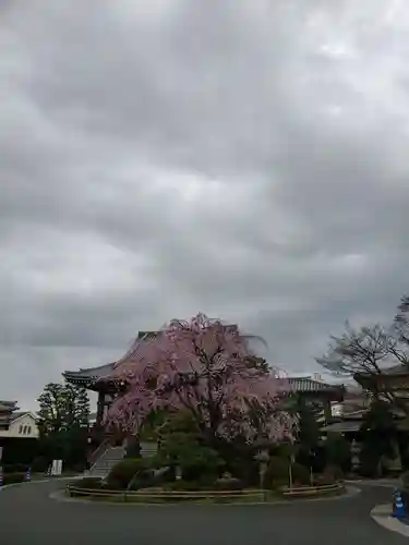最勝寺(東京都)