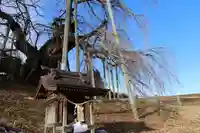 瀧桜神明宮の本殿・本堂