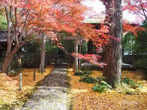 蓮華寺（洛北蓮華寺）(京都府)