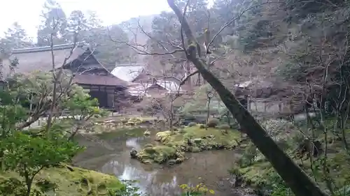 南禅寺の庭園